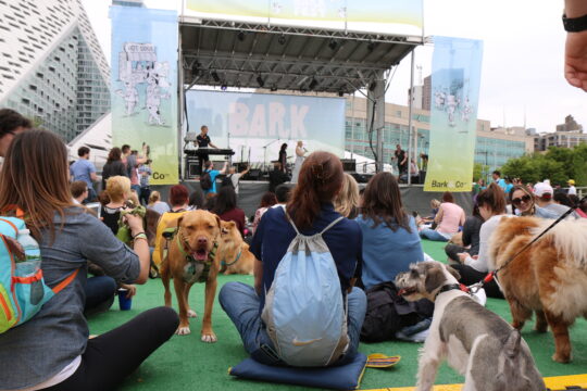 BarkFest