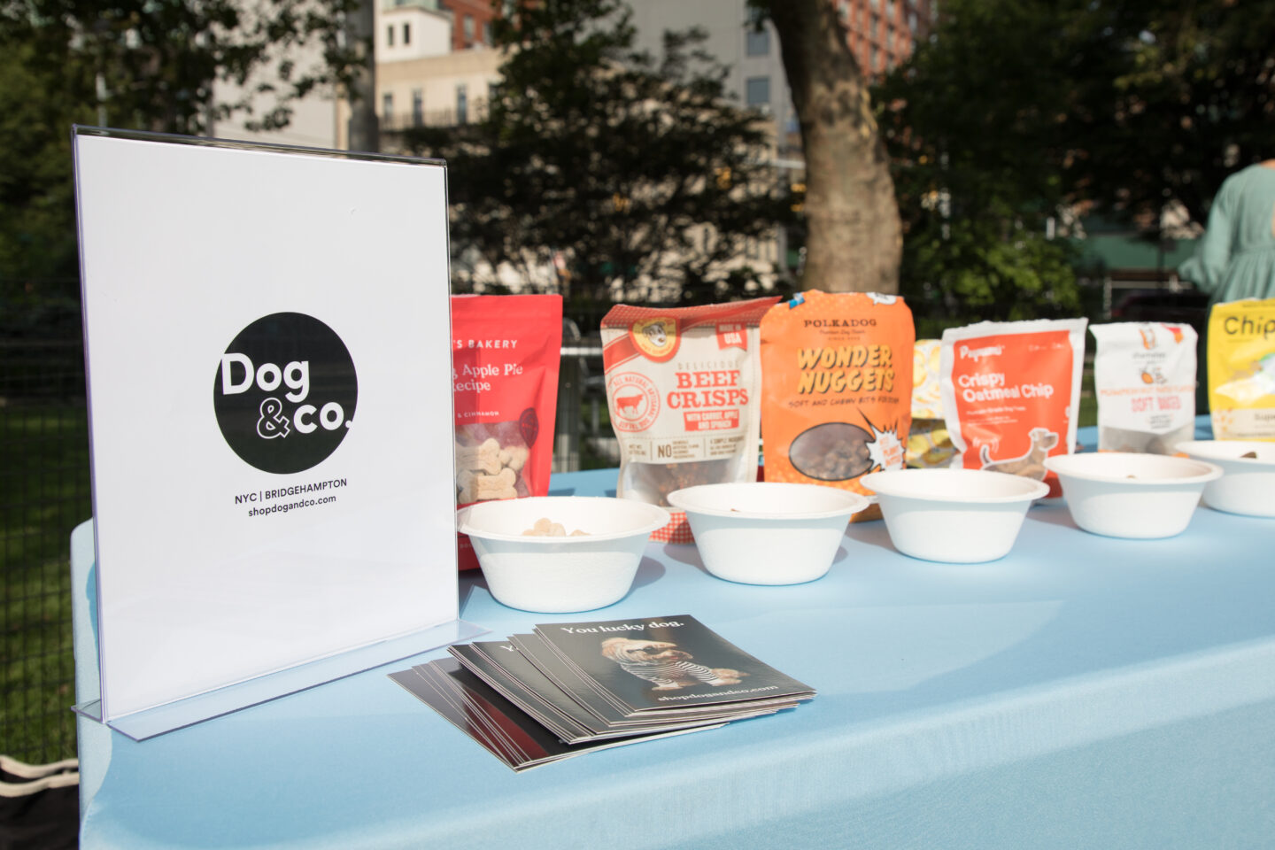 dog and co food at chelsea waterside dog reception
