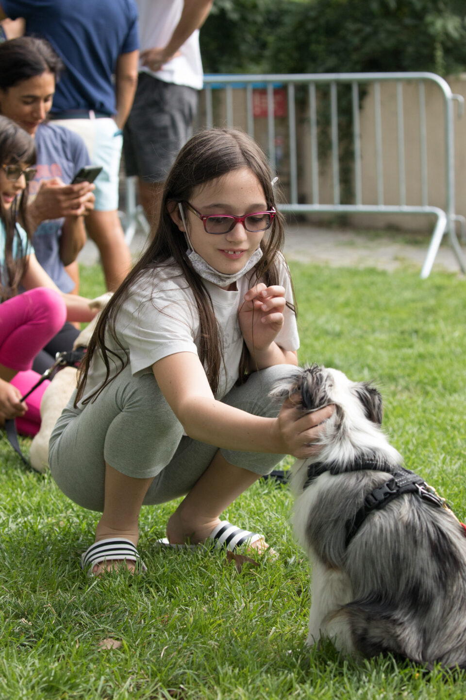 girl petting dog at event