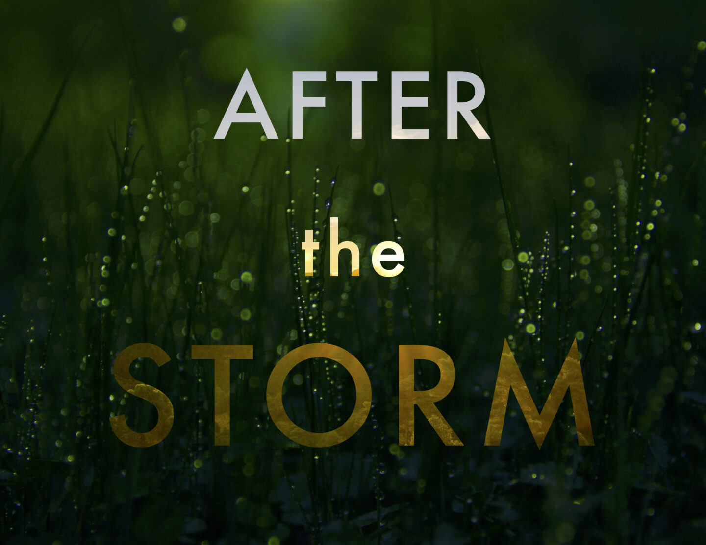 After the Storm show by Contemporaneous