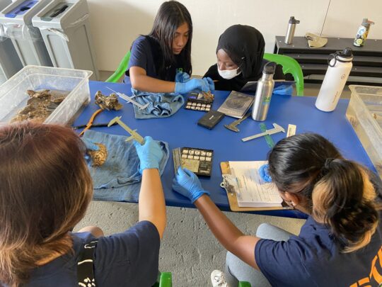 What Does STEM Identity Mean to You?