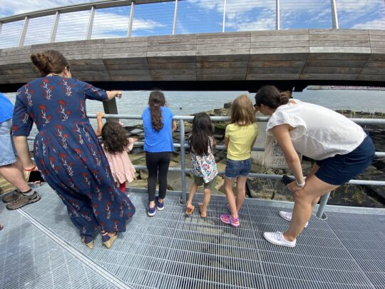 Back to School with HRPK’s River Project
