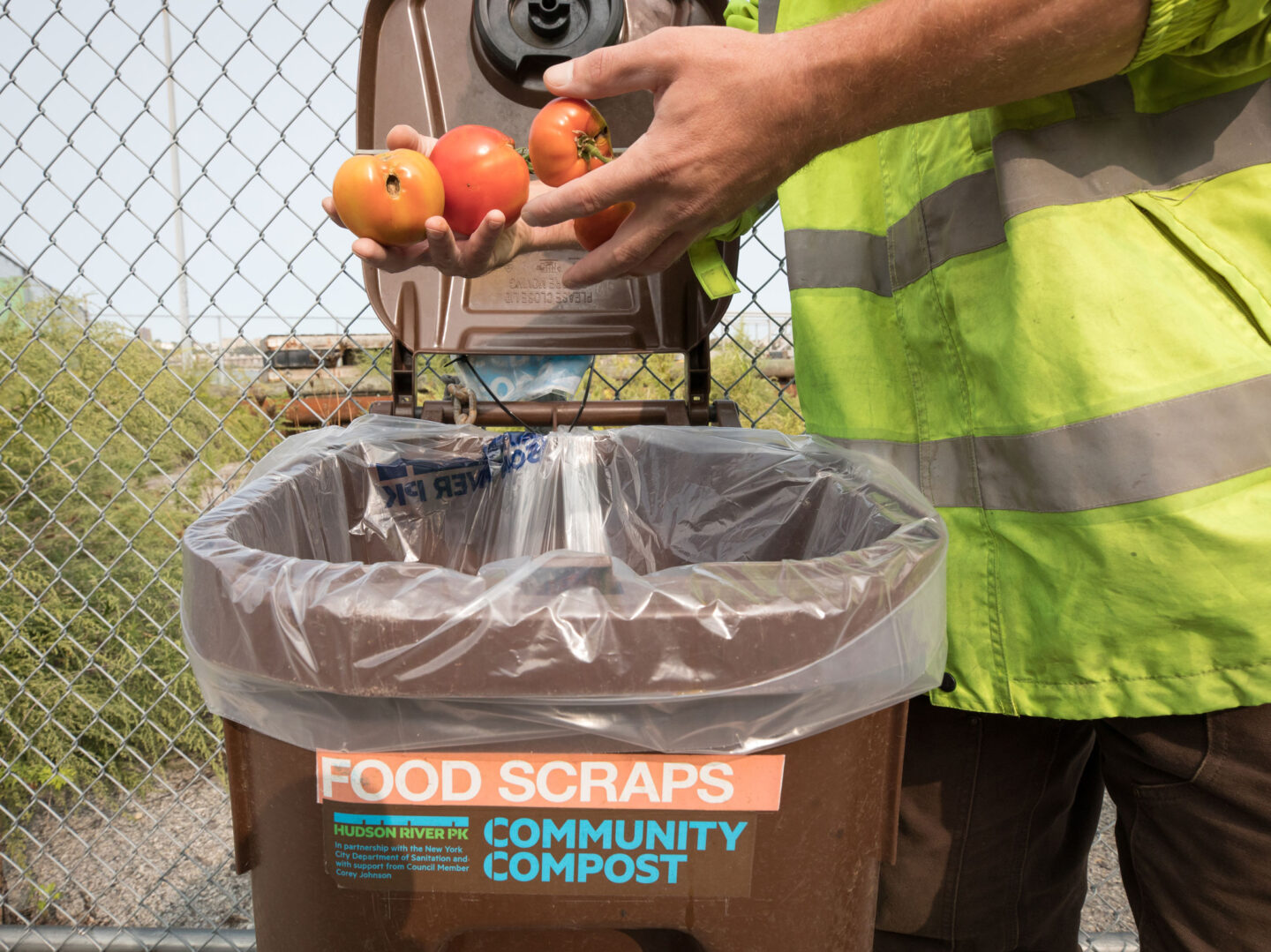 Staff drops tomatoes in Hudson River Park Community Compost bin