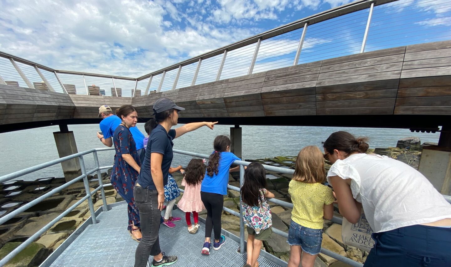 HRPK River Project Park educators point out to young students the native wildlife and ecology of the Hudson River from the Pier 26 Tide Deck