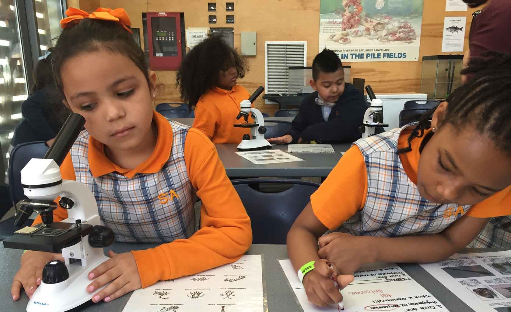 Students look into a microscope to complete a hands-on River Project activity at Hudson River Park
