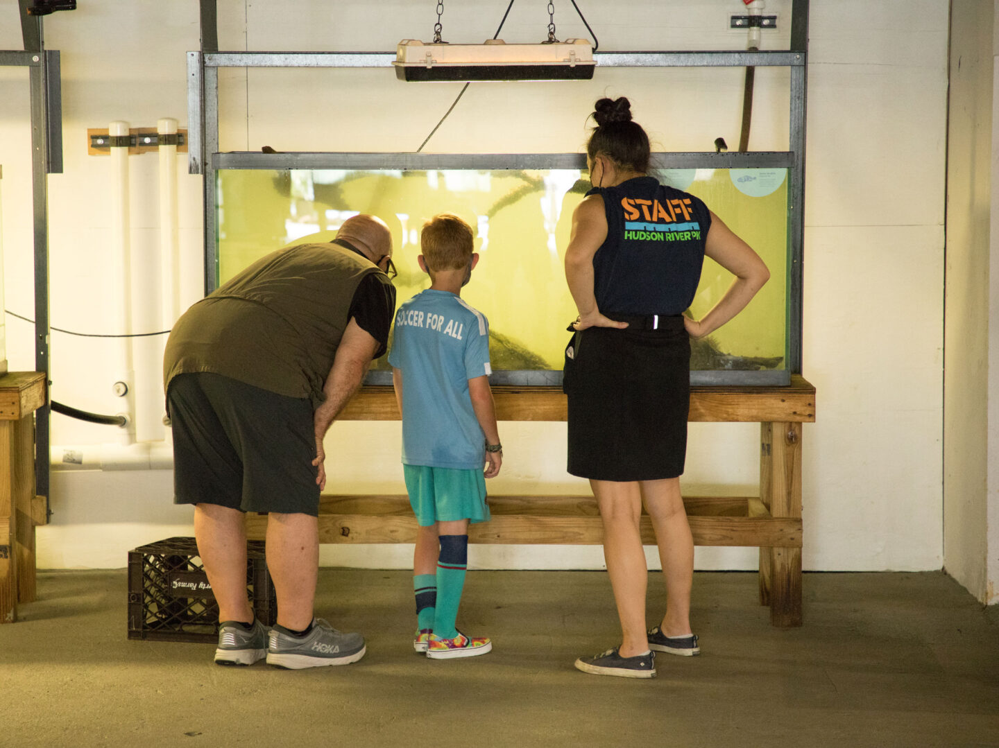 River Project staff looks on as man and son examine the wildlife in the Wetlab at Hudson River Park SUBMERGE