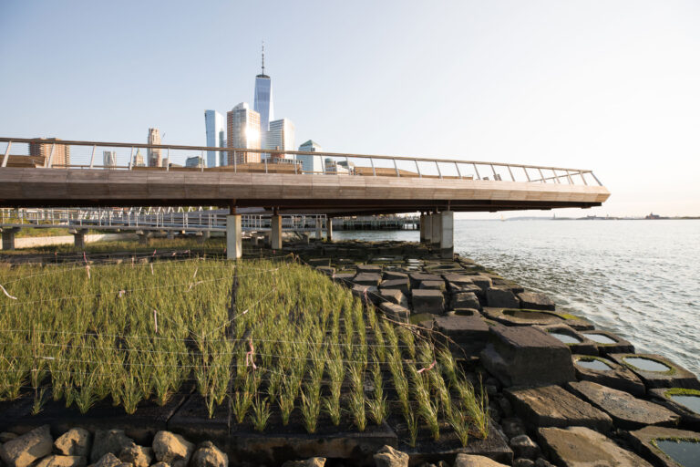 Pier 26 Tide Deck coastal environment at Hudson River Park