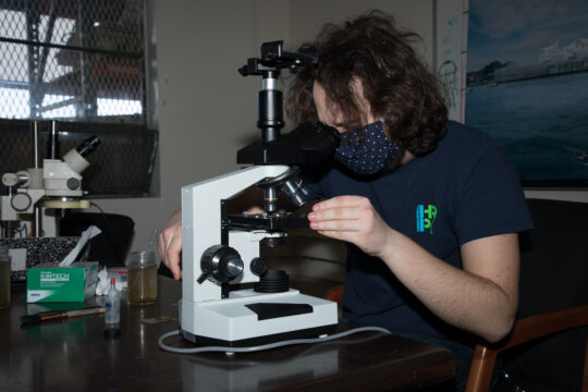 See how River Project Scientists Study Signs of Spring in the Hudson River