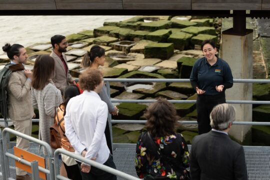 tide deck tour