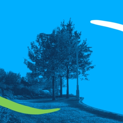 Stylized park image, blue tint, showing a tree with a squiggly line over it