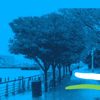 Stylized park image, blue tint, showing a tree with a squiggly line over it