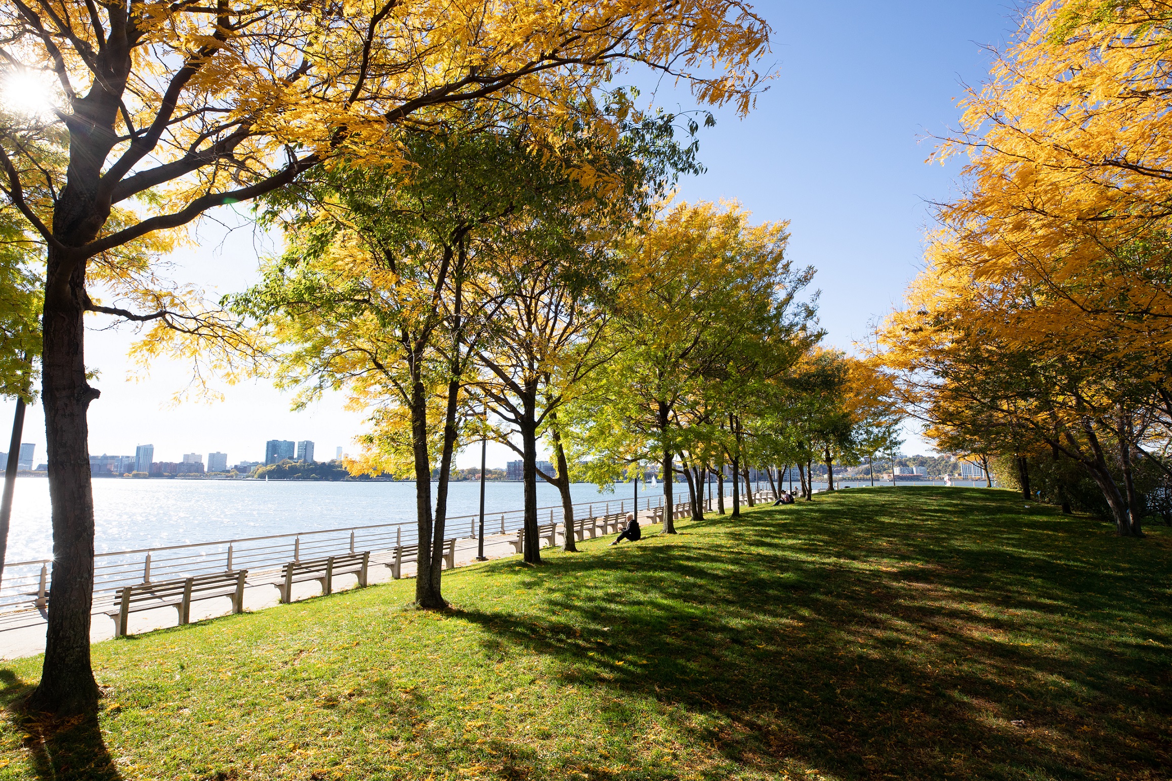 A sunny fall day on Hudson River Park's Pier 64, featuring beautiful golden foliage