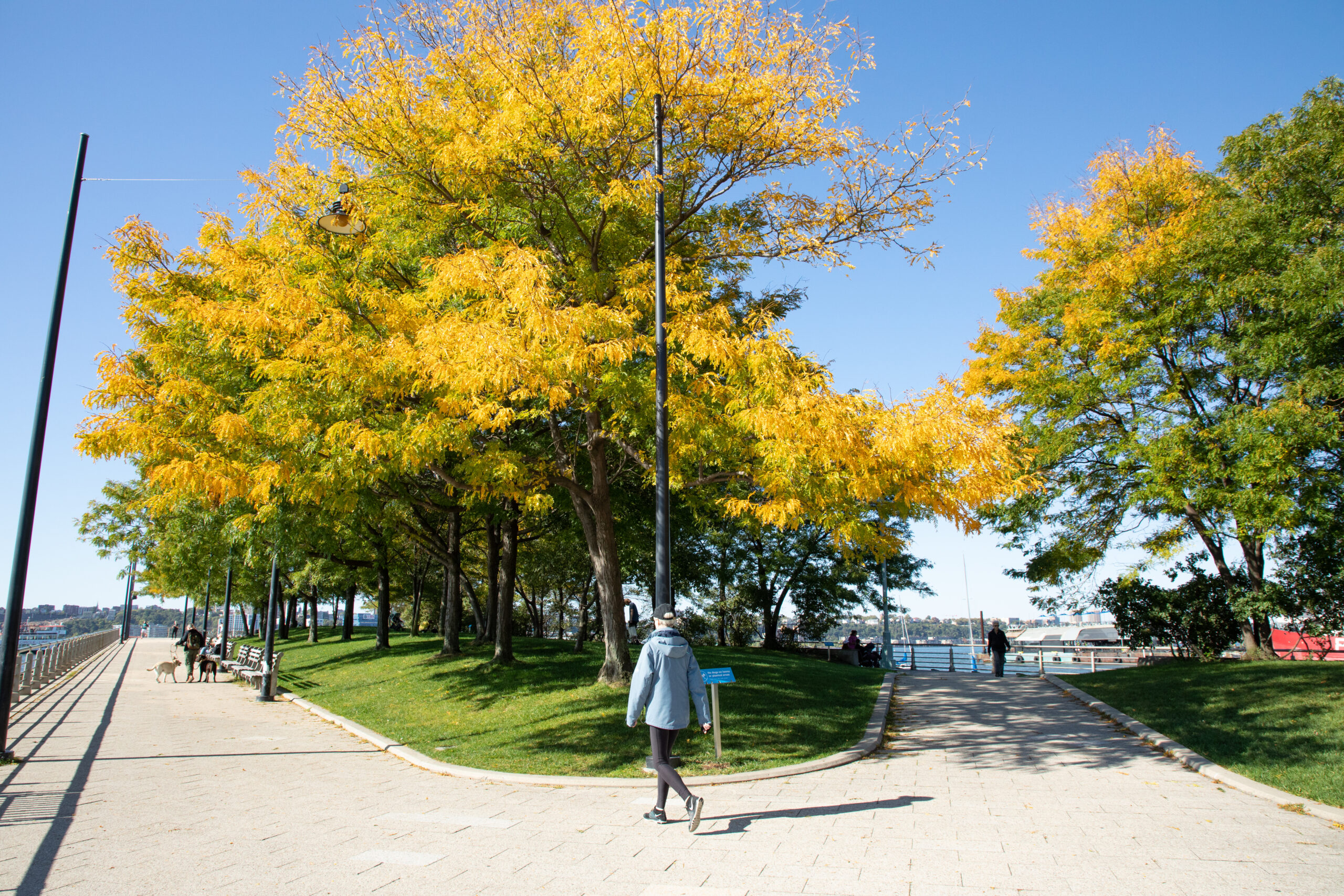 Person strolls along Pier 64 in Hudson River Park in autumn