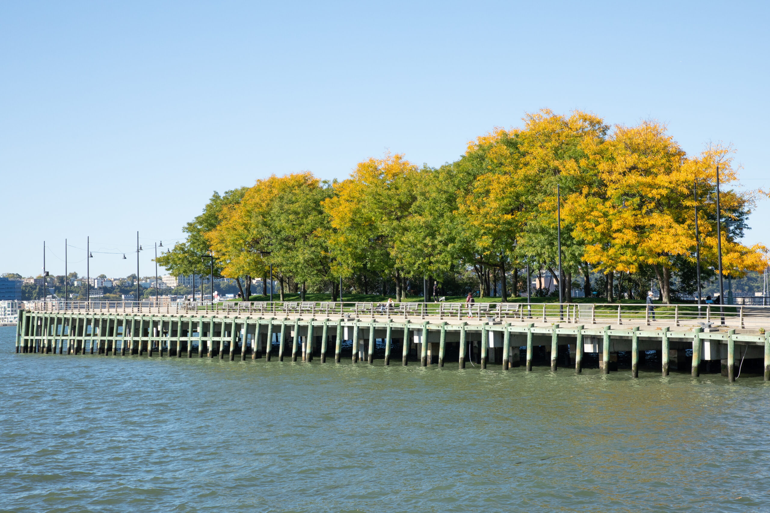 fall leaves on Pier 64