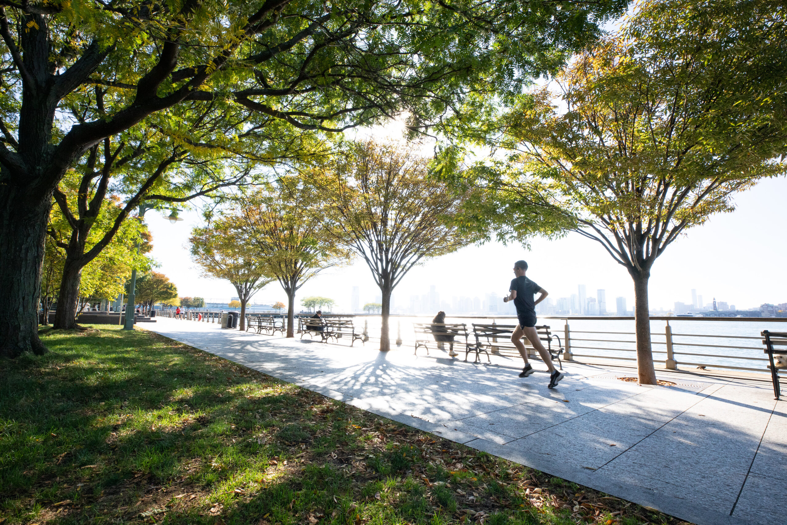 Person running under autumn tree cover along the Hudson River in Hudson River Park