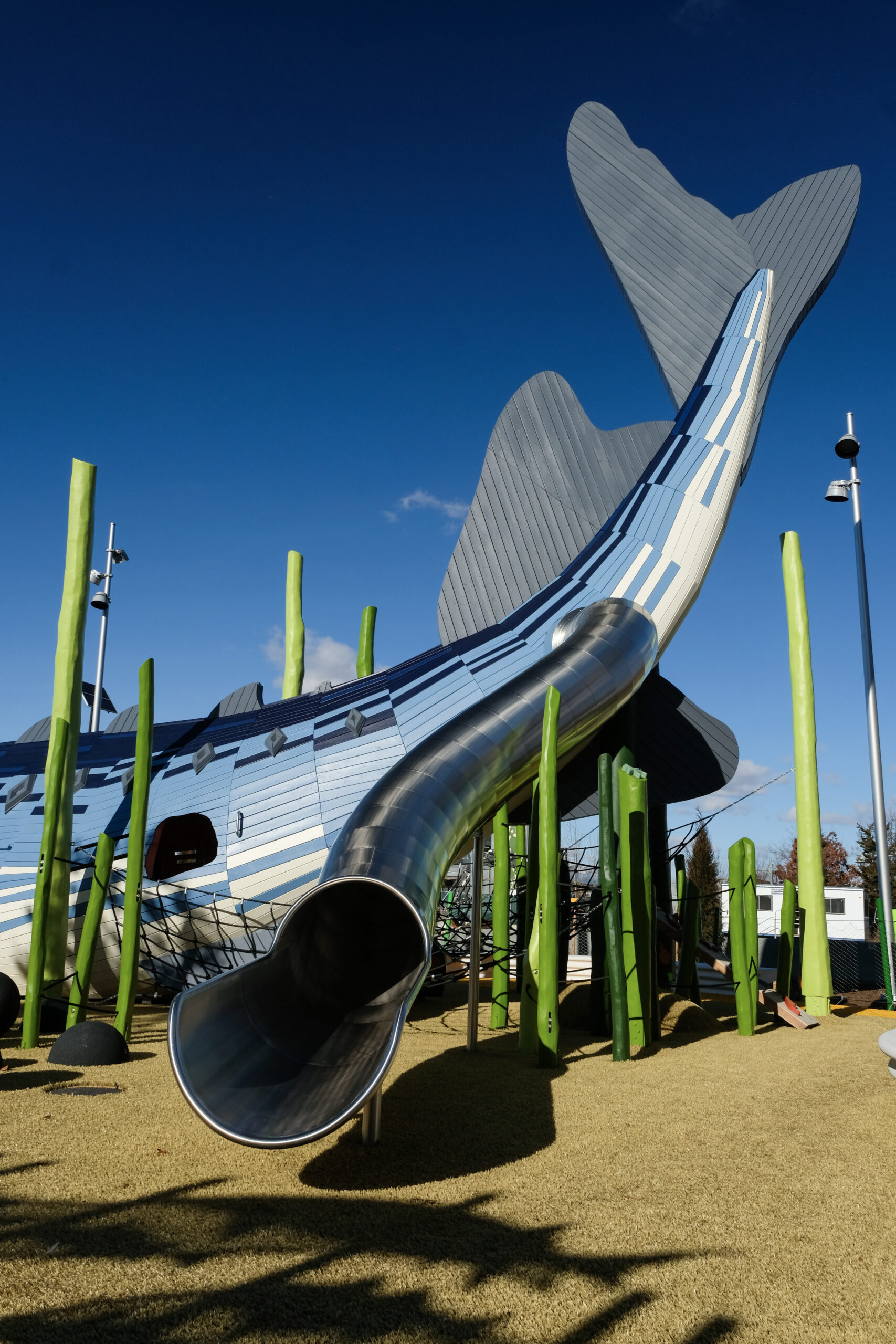 A playground structure shaped like a sturgeon with a slide coming out of its tail