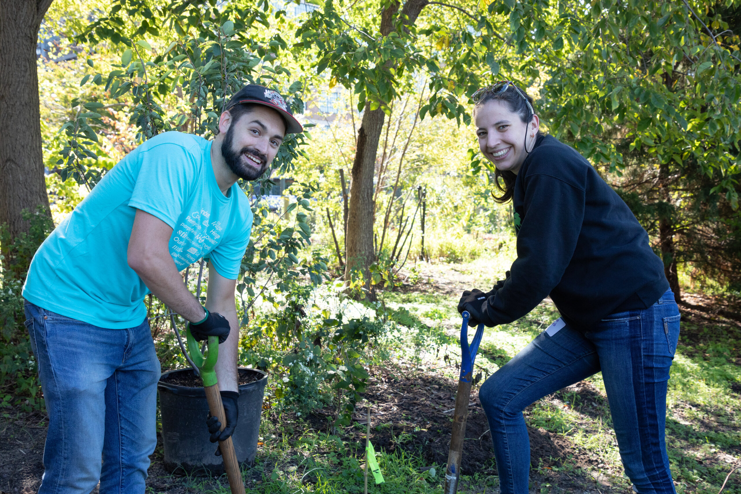 Volunteers planting trees in Hudson River Park