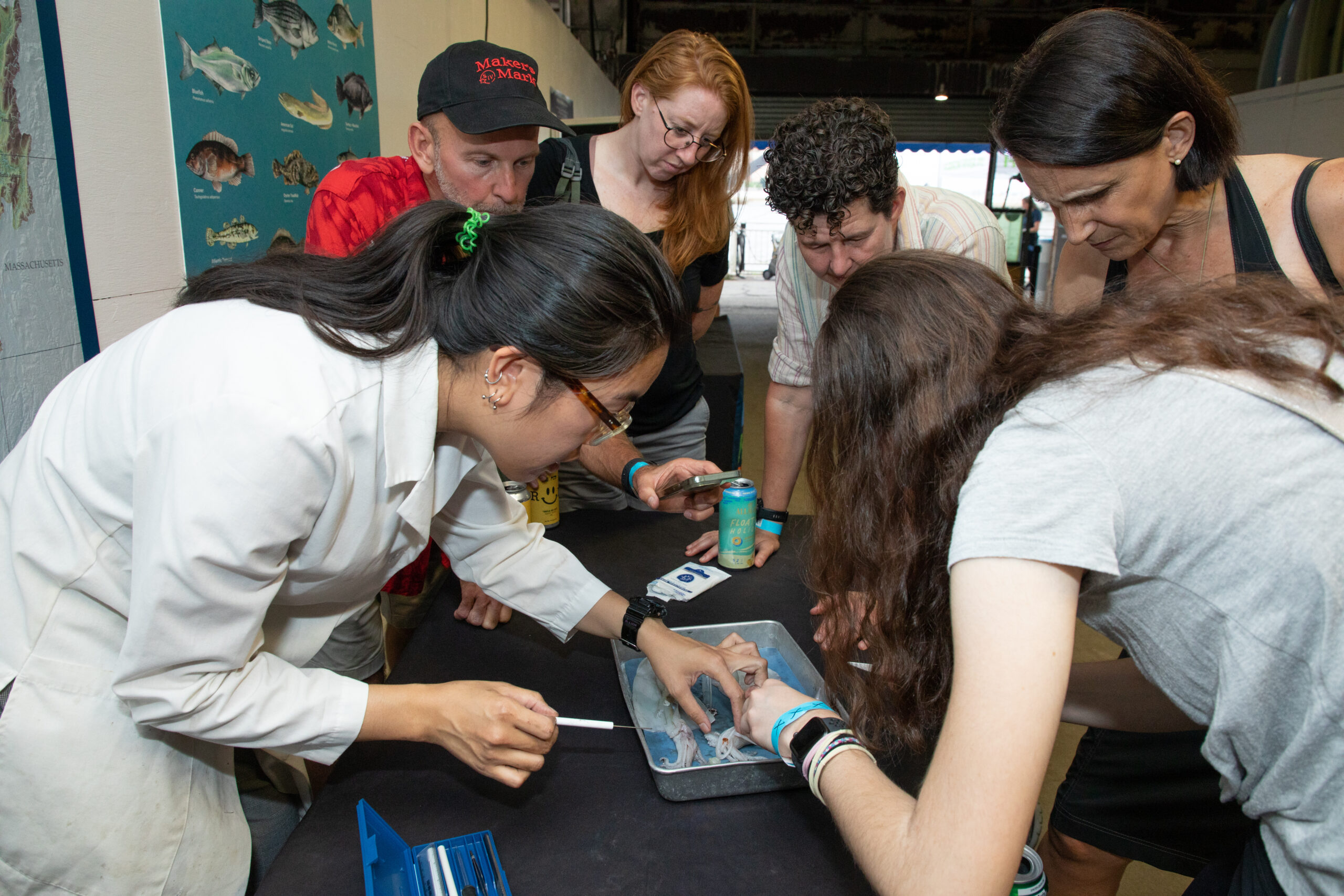 Students looking at an exhibit during an Ask a Scientist event at the Pier 40 Wetlab