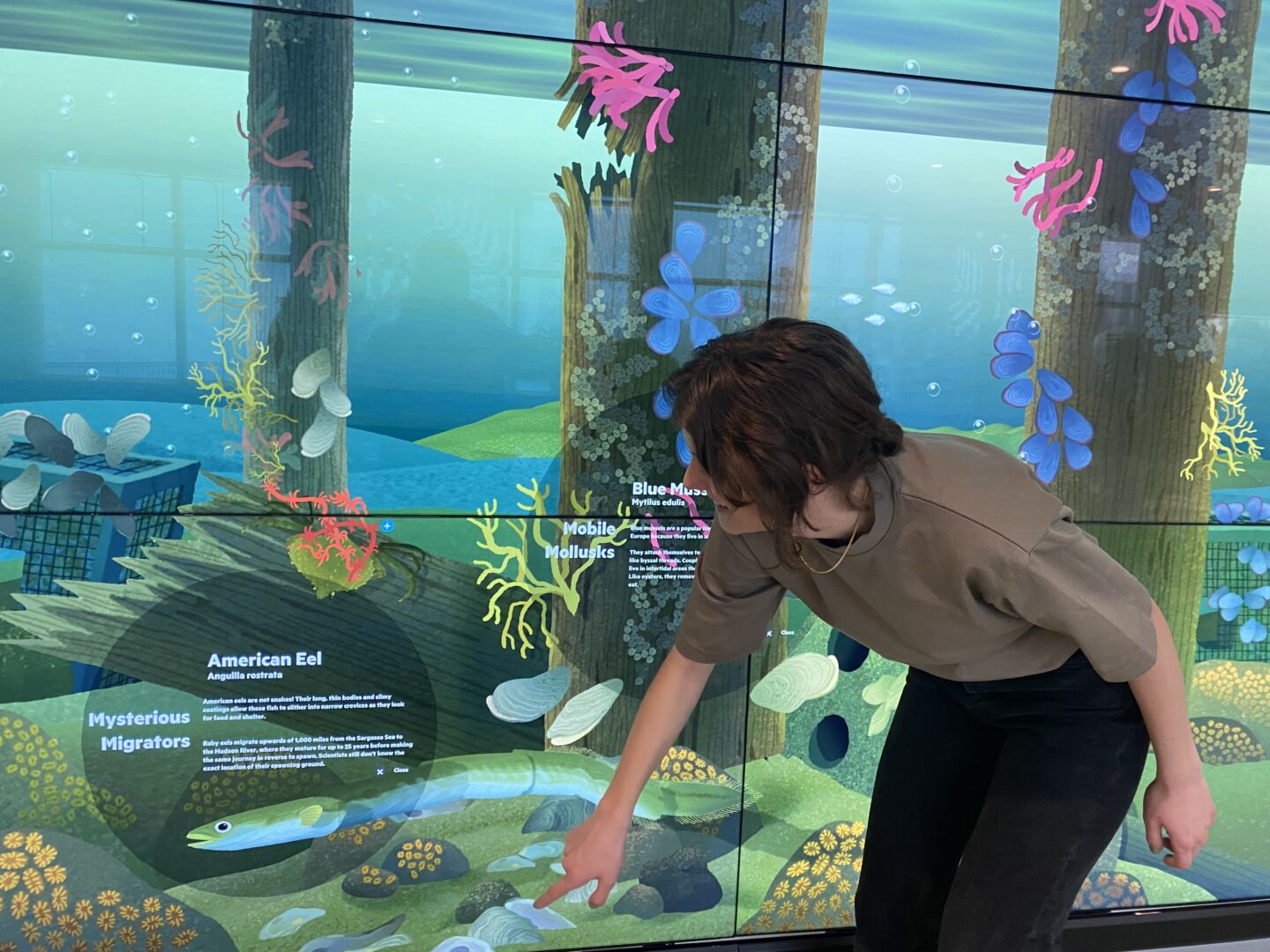 Playing with interactive features at the Discovery Tank at Pier 57