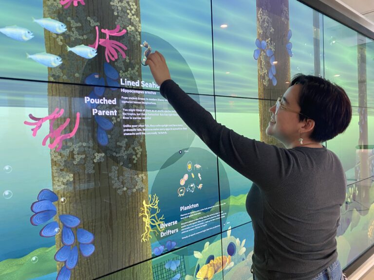 Playing with interactive features at the Discovery Tank at Pier 57