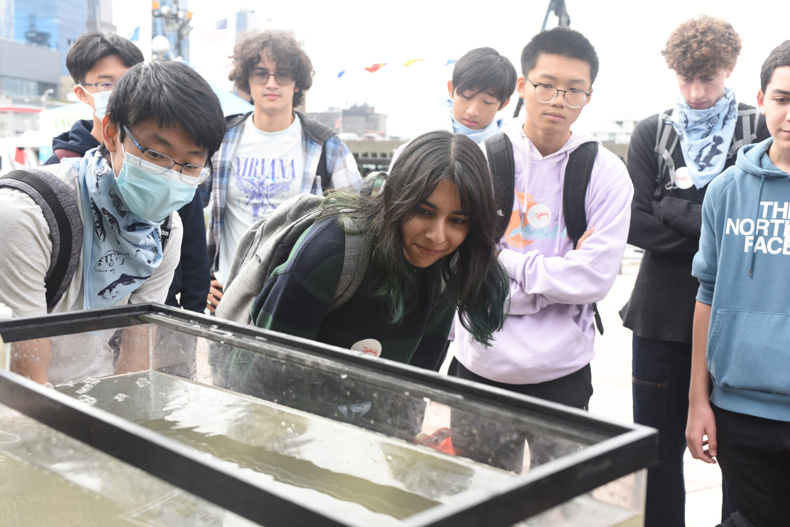 A group of high school students looking into an aquarium tank at SUBMERGE Marine Science Festival
