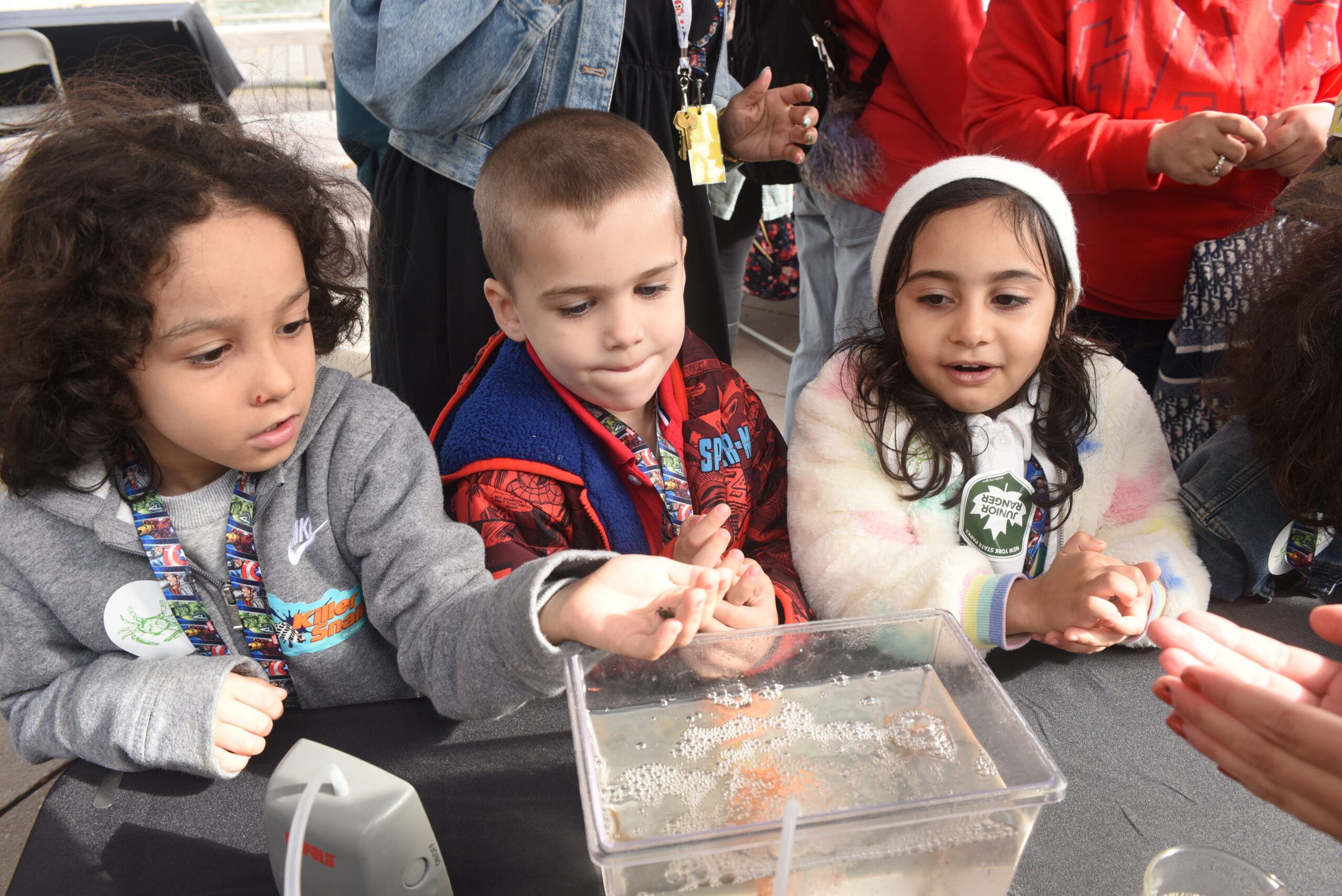 Three students looking into a small water tank at SUBMERGE Marine Science Festival