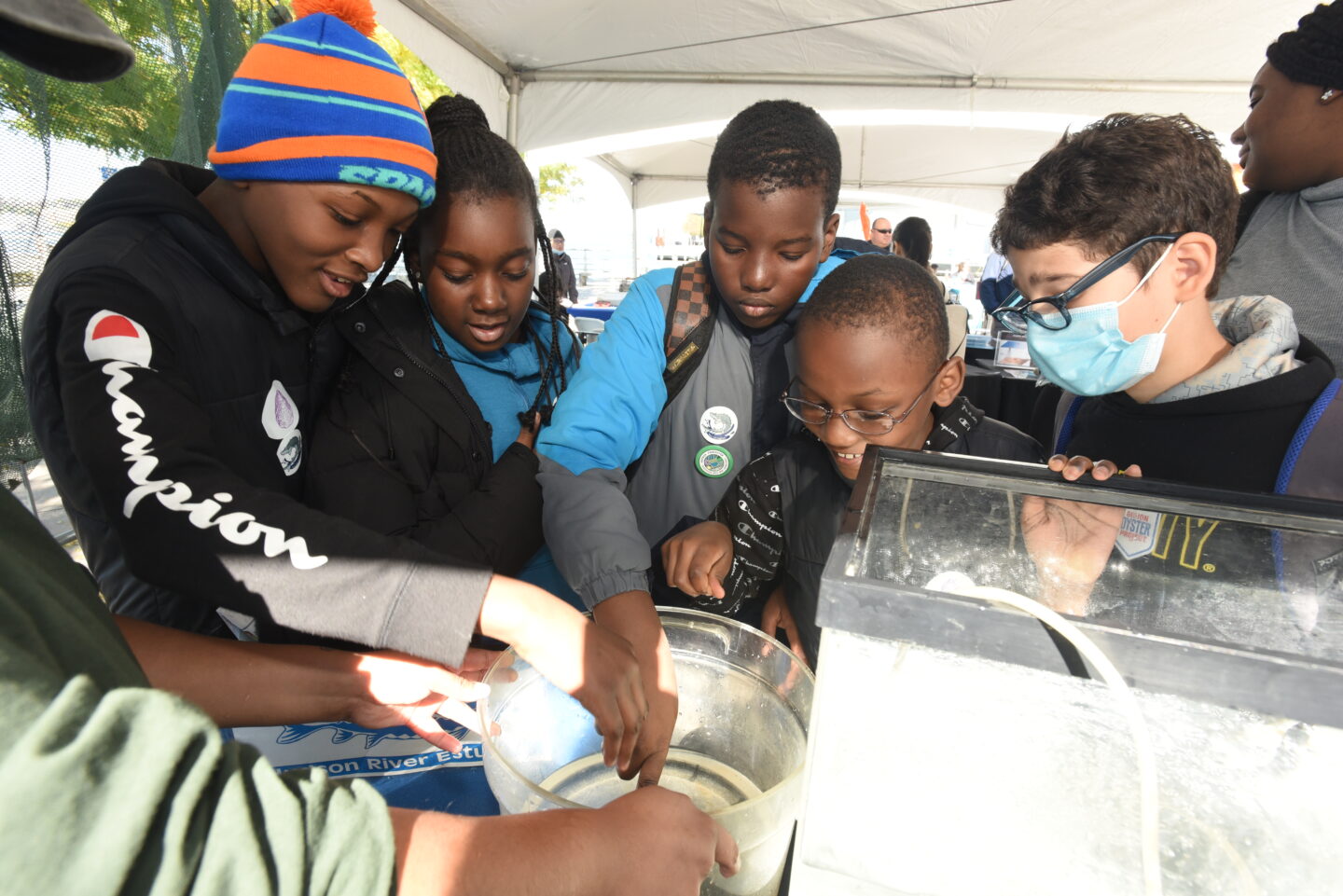 A group of students look and reach into a water tank at SUBMERGE Marine Science Festival