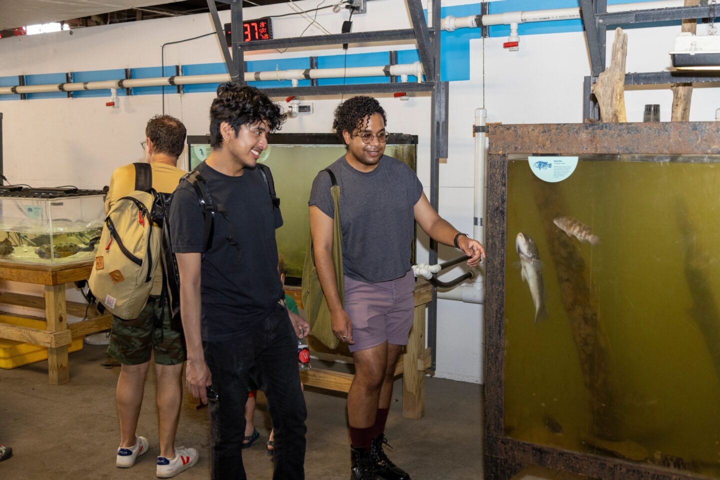 Two visitors to Hudson River Park's Pier 40 Wetlab look into an aquarium tank