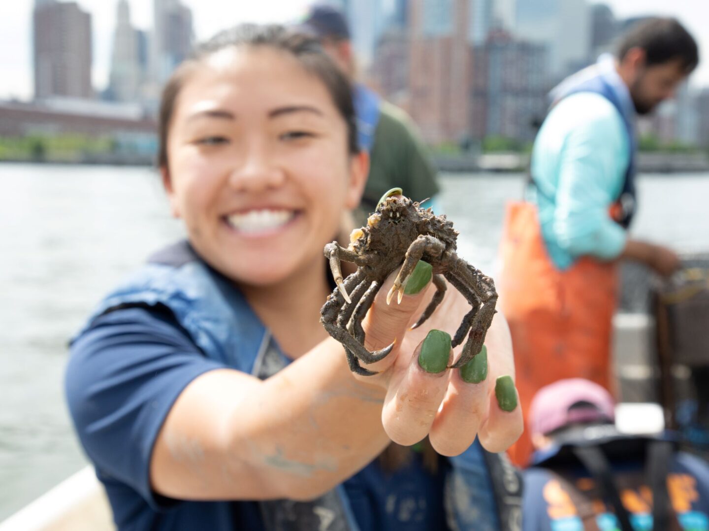 A spider crab held by a member of HRPK's River Project team