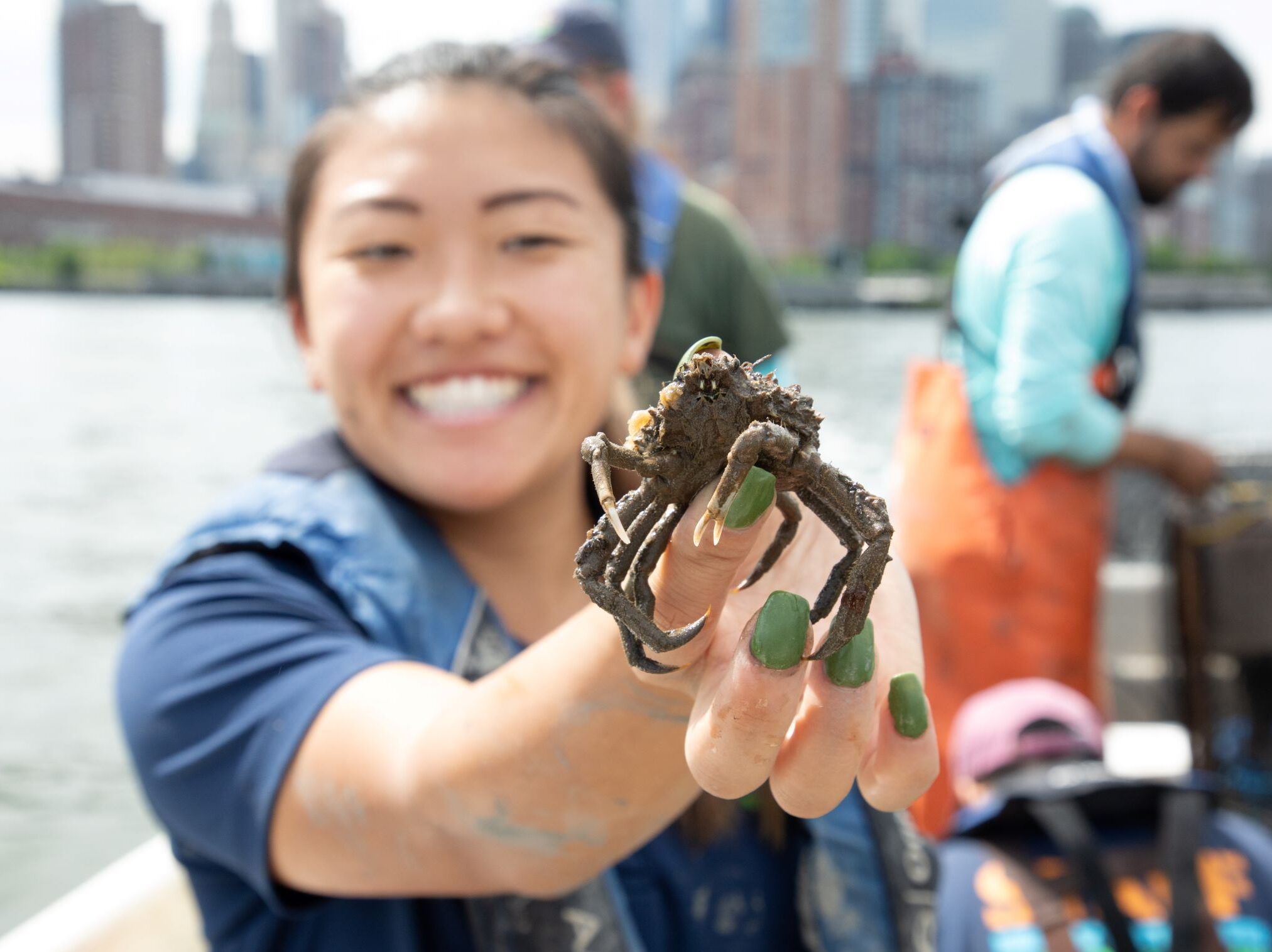 A spider crab held by a member of HRPK's River Project team