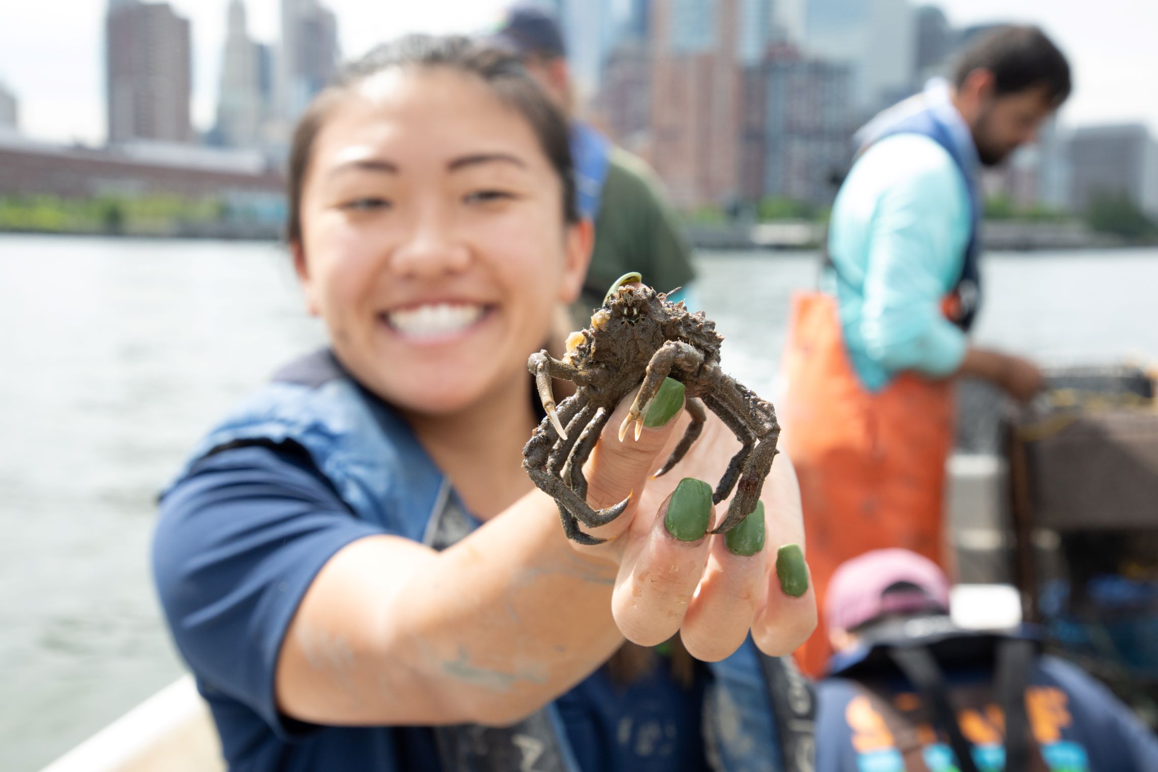 A spider crab held by a member of HRPK's River Project team