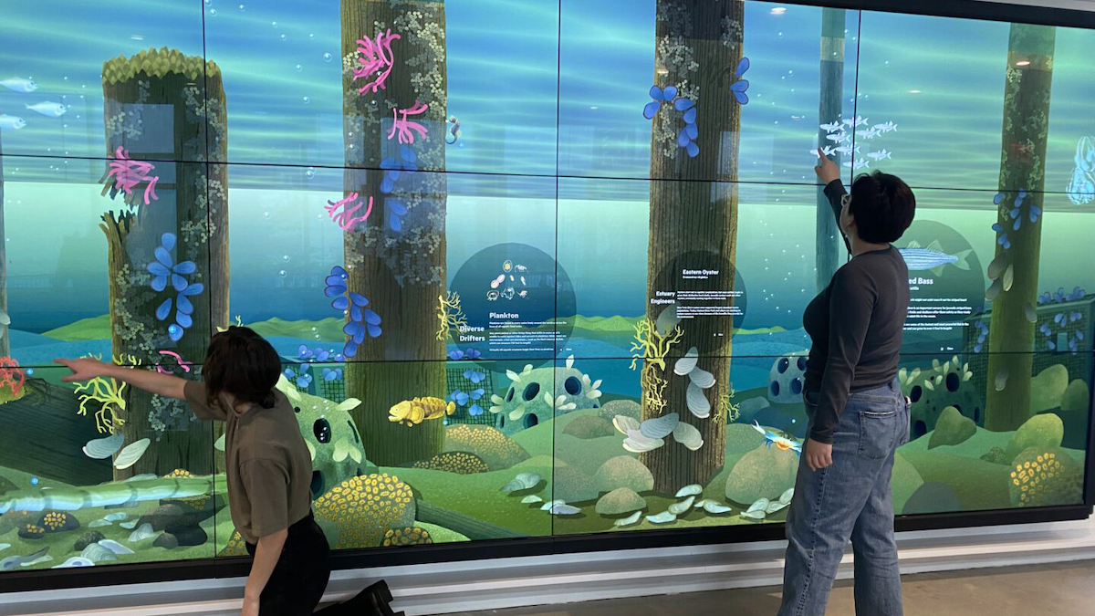 Two Discovery Tank visitors interact with a large touchscreen display of the Hudson River ecosystem