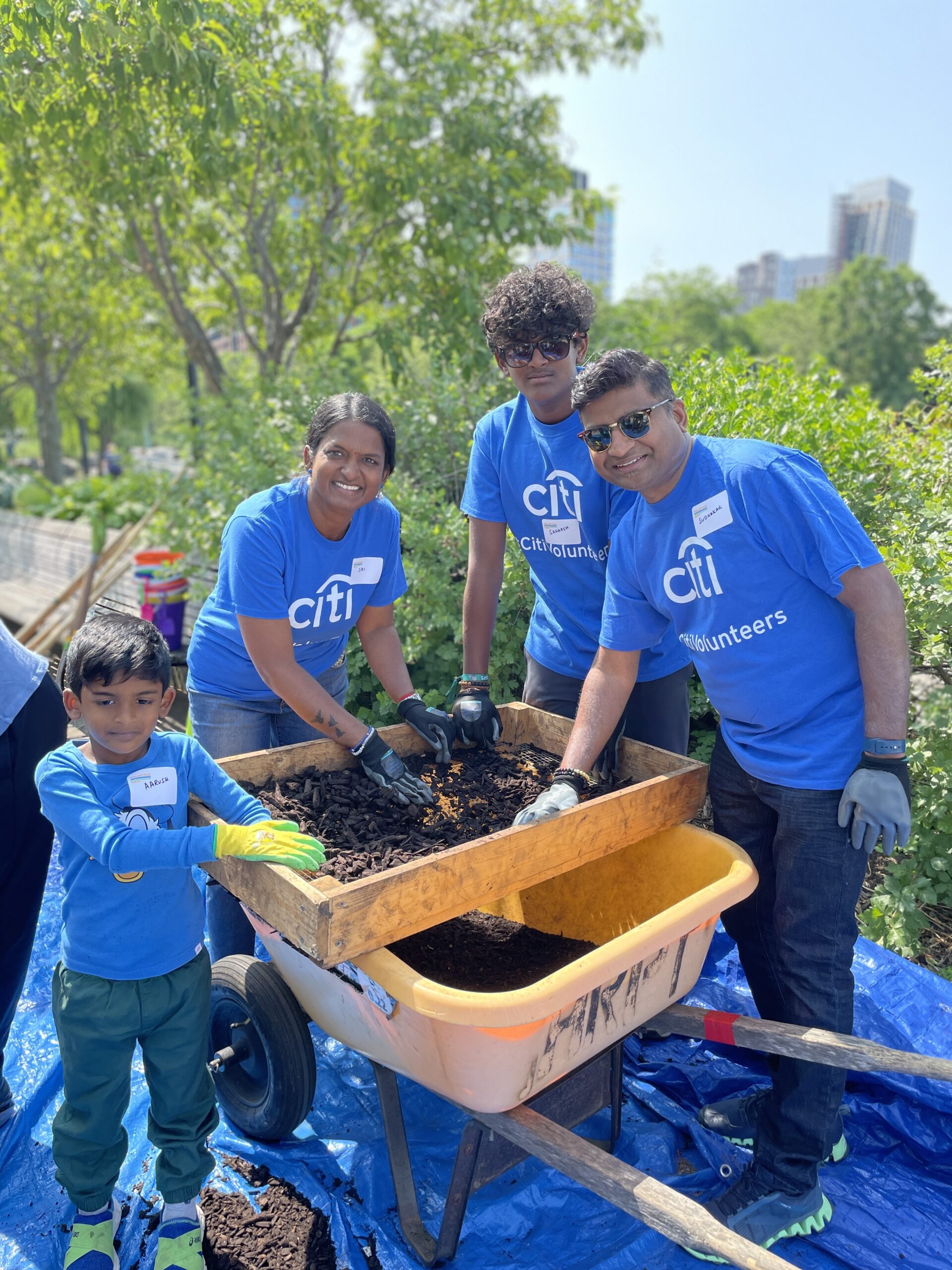 Four volunteers from Citi sifting mulch into a wheelbarrow