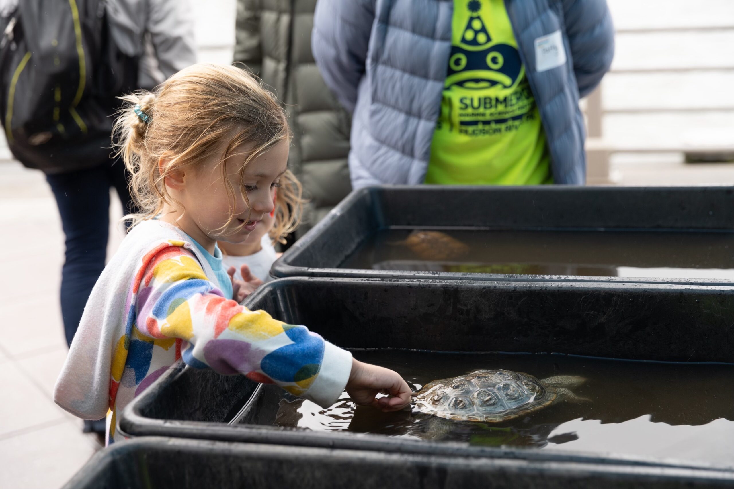 A child touches a turtle's shell at the SUBMERGE Marine Science Festival on Pier 84