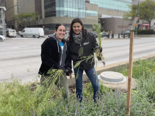 Two volunteers helping to clean up part of a Park garden along the West Side Highway