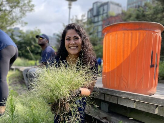 A volunteer holding trimmed grass next to a plastic barrel