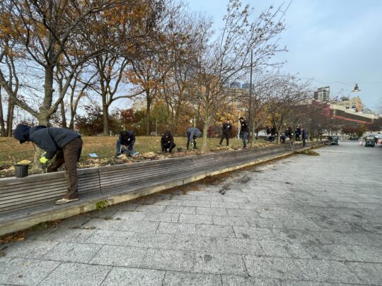 Volunteers working in a planting bed at Pier 64