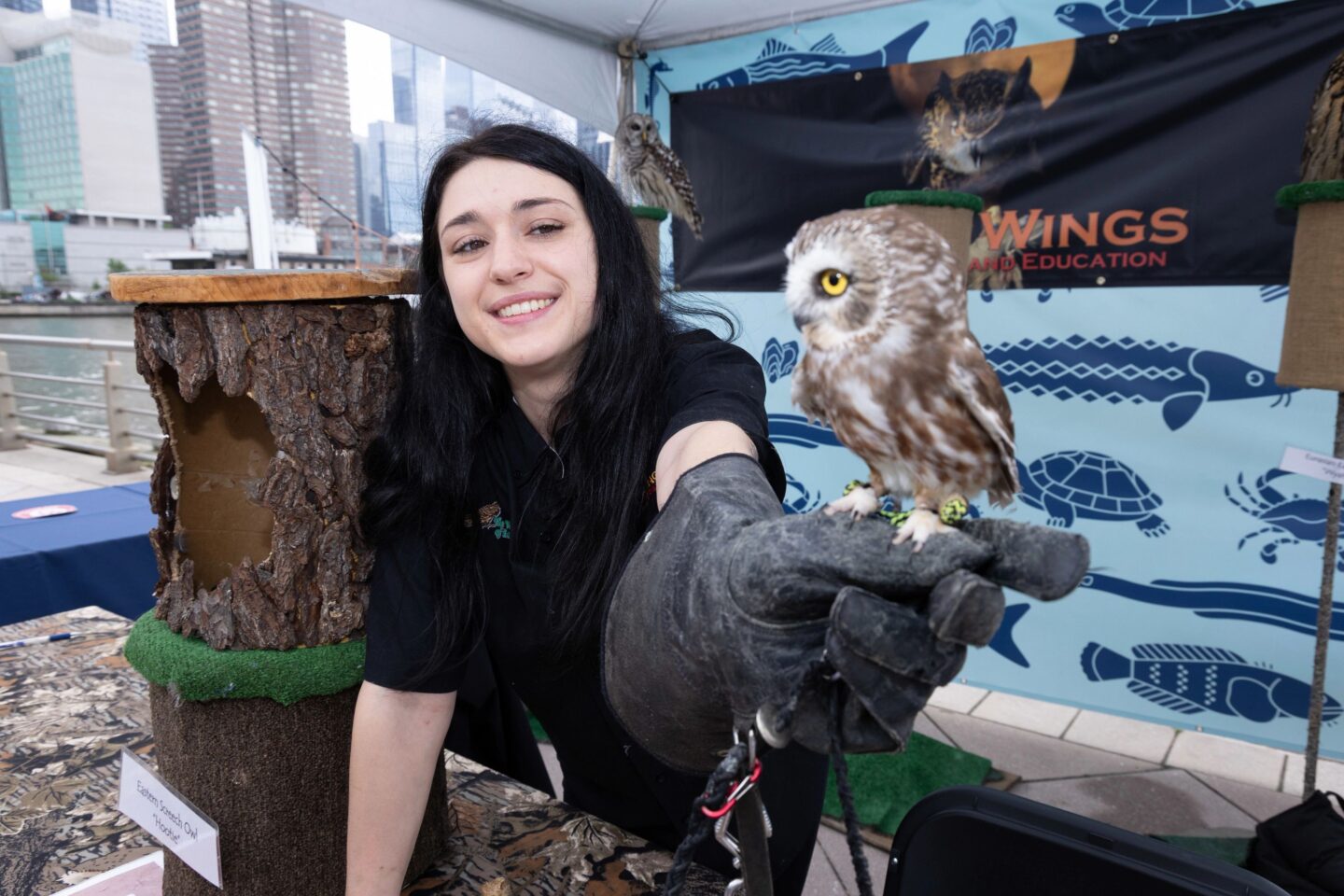 A SUBMERGE Marine Science Festival presenter holds an Eastern Screech Owl out to the camera