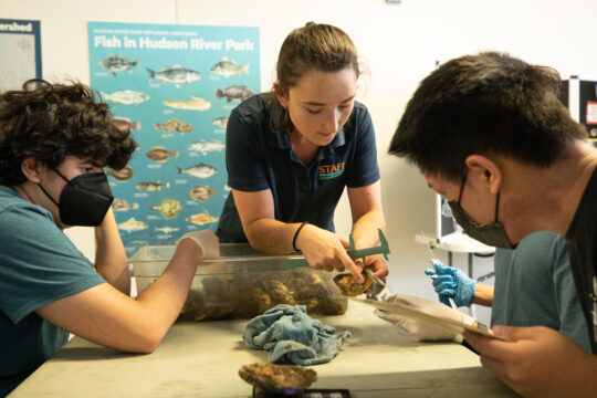 An HRPK River Project staffer shows students the different parts of an oyster