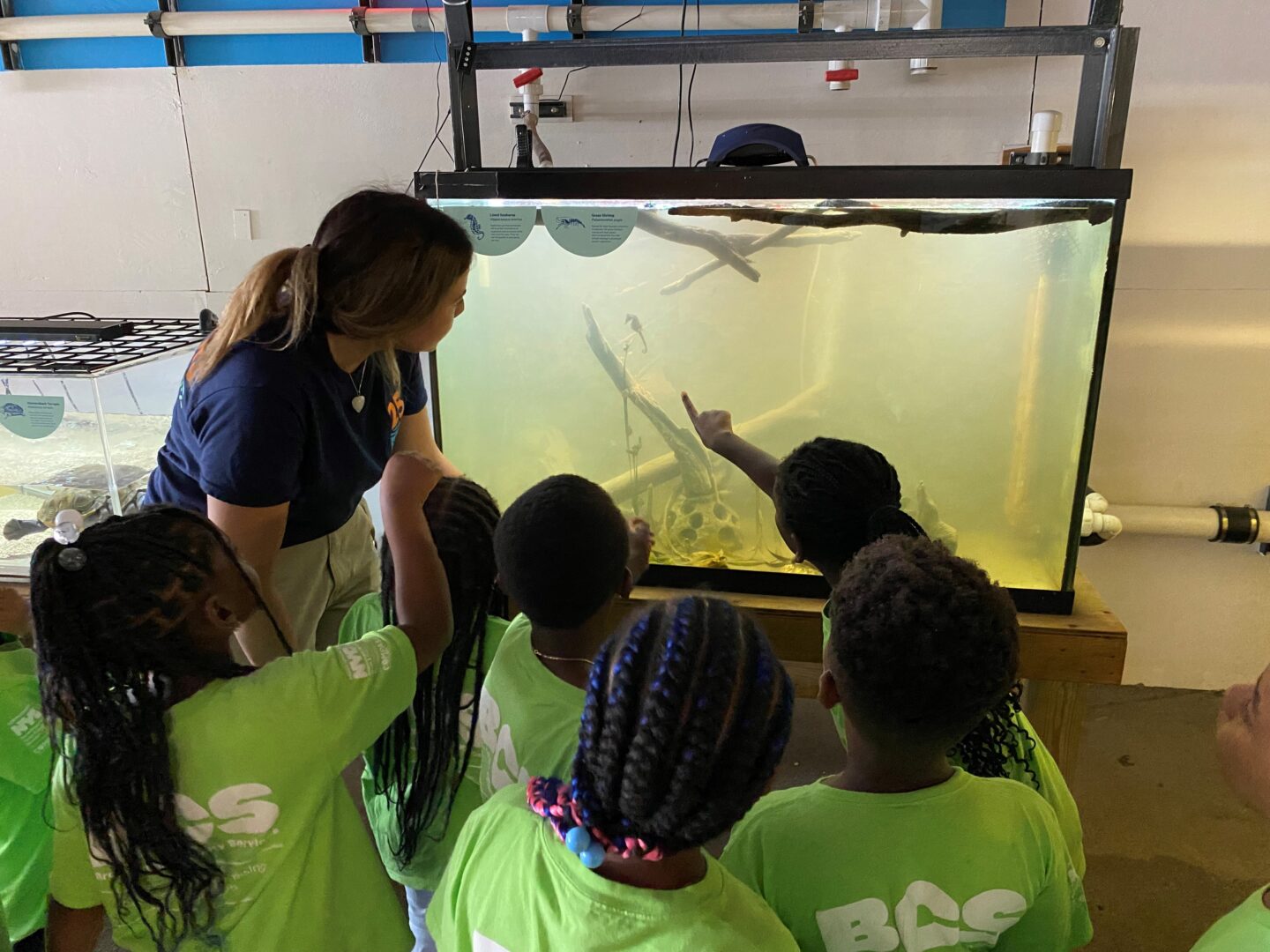 An HRPK River Project staffer teaches students about the wildlife living in an aquarium tank at the Pier 40 Wetlab