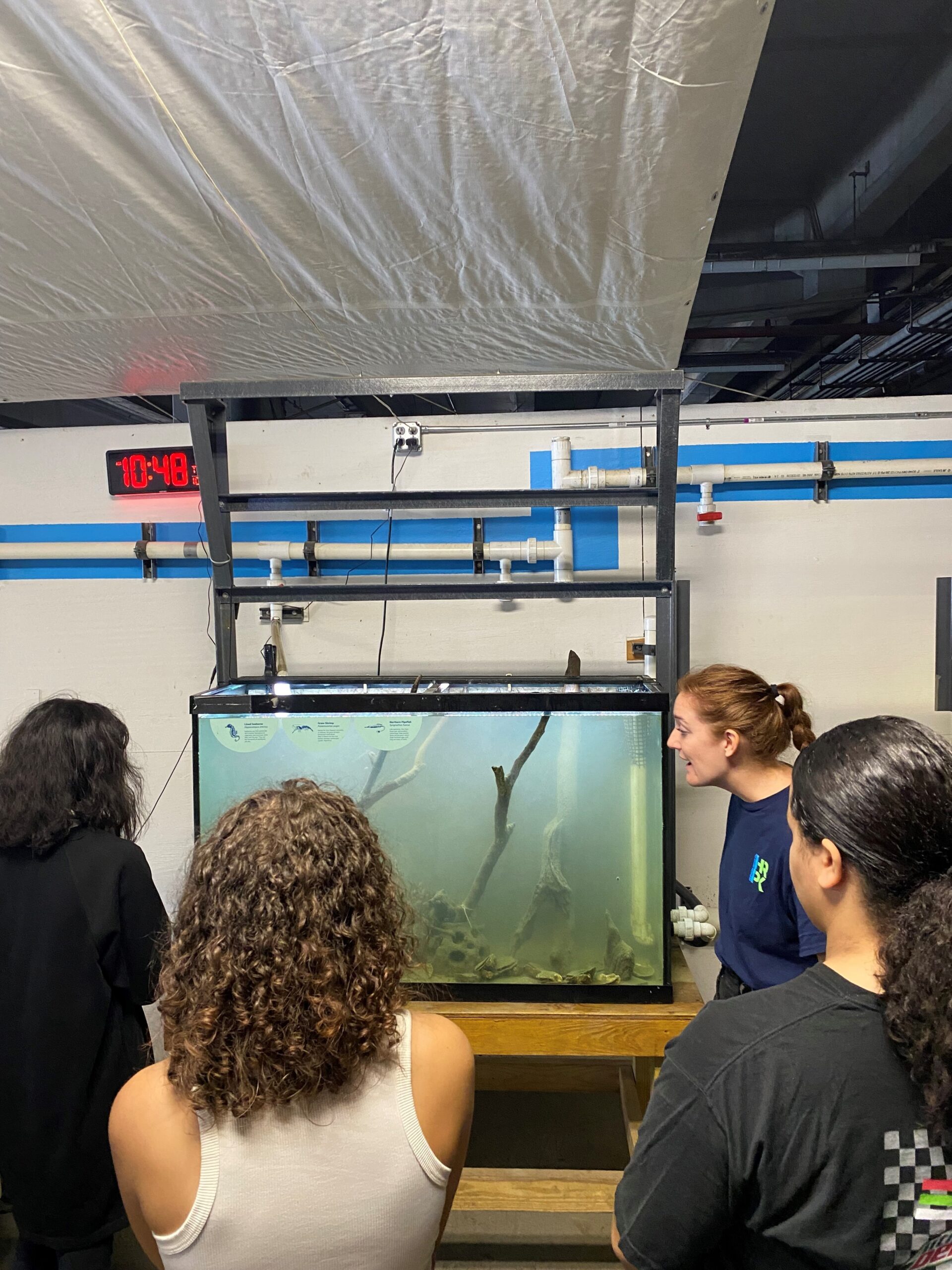 A Hudson River Park River Project staffer leads a tour of the Pier 40 Wetlab, describing the wildlife inside an aquarium tank