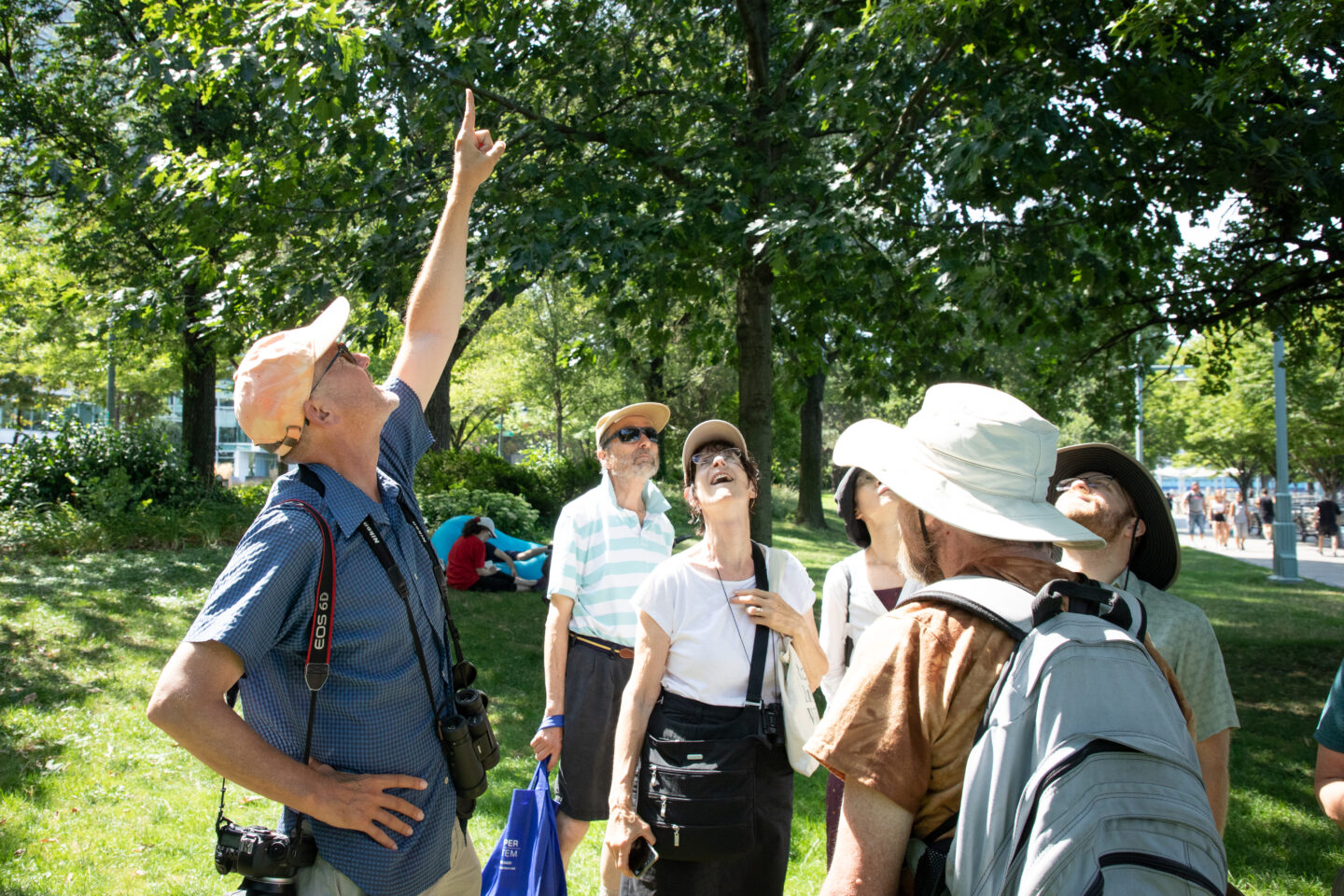 A Nature Walks guide points up to show participants something of interest in a tree above