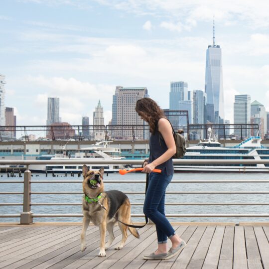 Your Pup & Your Park: A Dog Parent’s Guide to Hudson River Park