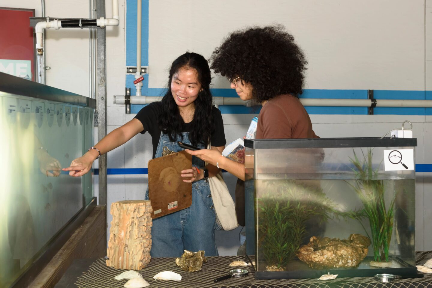 Two visitors to the Pier 40 Wetlab look into an aquarium tank