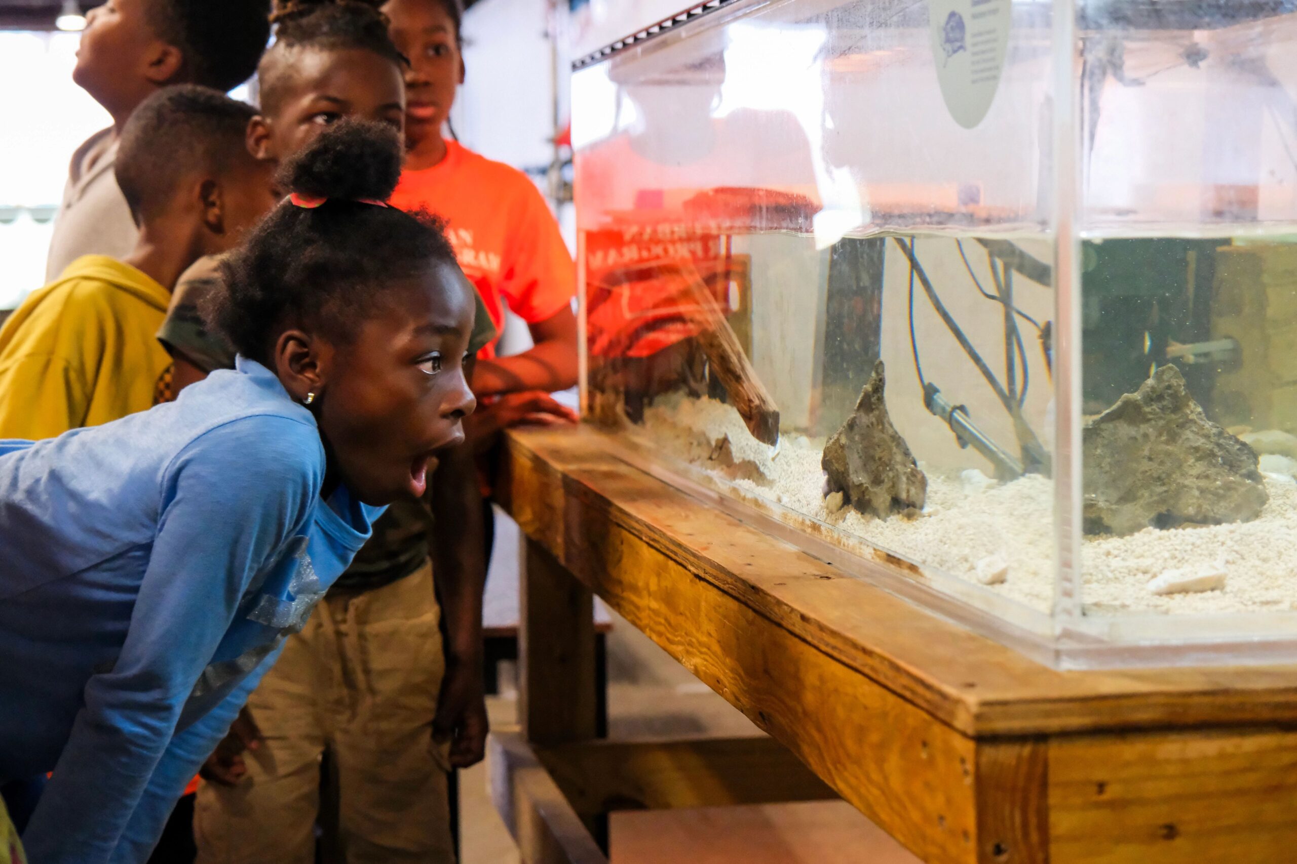 A student looks in to an aquarium tank at the Pier 40 Wetlab with a surprised expression