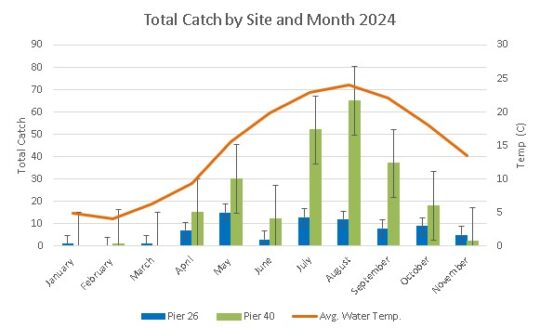 A chart showing the Total Catch by Site and Month for 2024, comparing Pier 26 and Pier 40. An additional line on the chart depicts the monthly average water temperature.