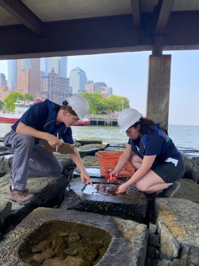 Two HRPK River Project staffers conducting research at the Pier 26 Tide Deck underneath Pier 26