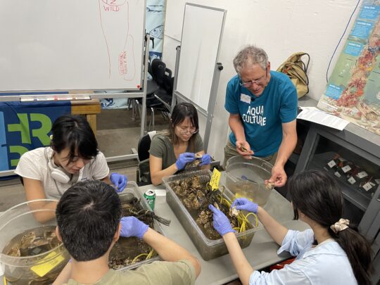 A group from HRPK River Project's Visiting Scholars Program examining oysters collected from the Hudson River in a classroom. Four people are seated and one is standing.