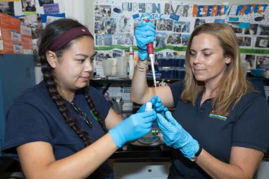 Two HRPK River Project staffers pipe a solution into a centrifuge tube