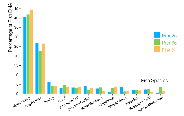 A chart showing the percentage of fish DNA found at Pier 25, Pier 66, and Pier 84. Fish DNA discovered include: Mummichog, Bay Anchovy, Tautog, Trout, American Eel, Channel Catfish, Black Seabass, Hogchoker, Striped Bass, Weakfish, Seaboard Gobi and Atlantic Menhaden